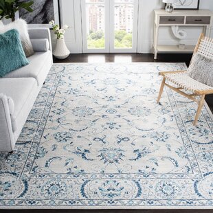 Blue area deals rug 5x7